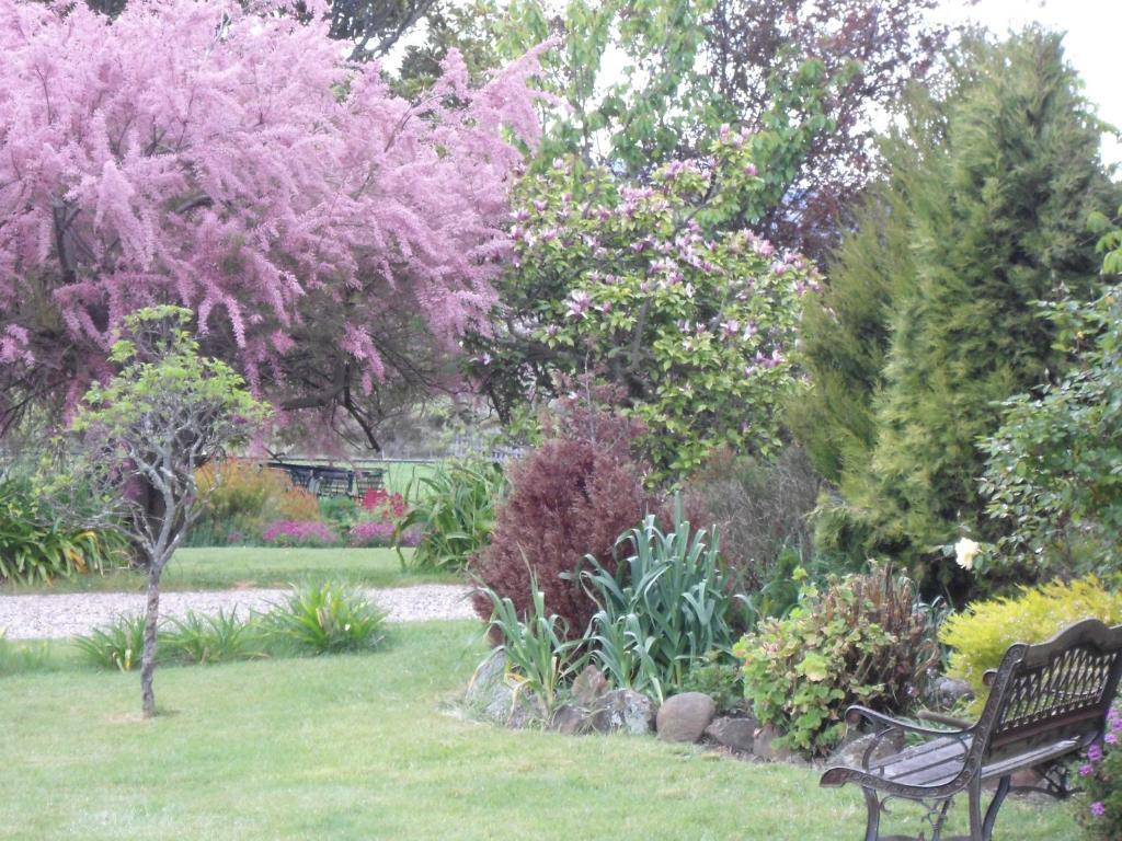 Roslyn House Bed & Breakfast Bushy Park Eksteriør billede