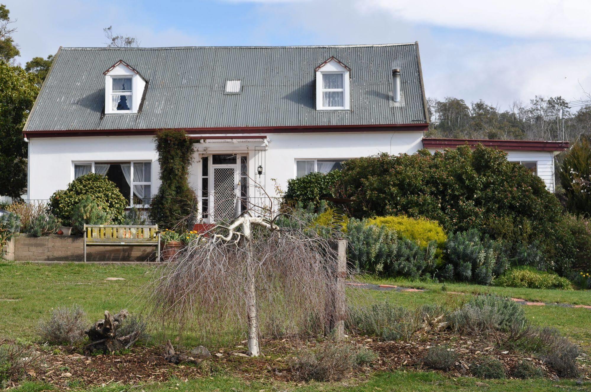 Roslyn House Bed & Breakfast Bushy Park Eksteriør billede