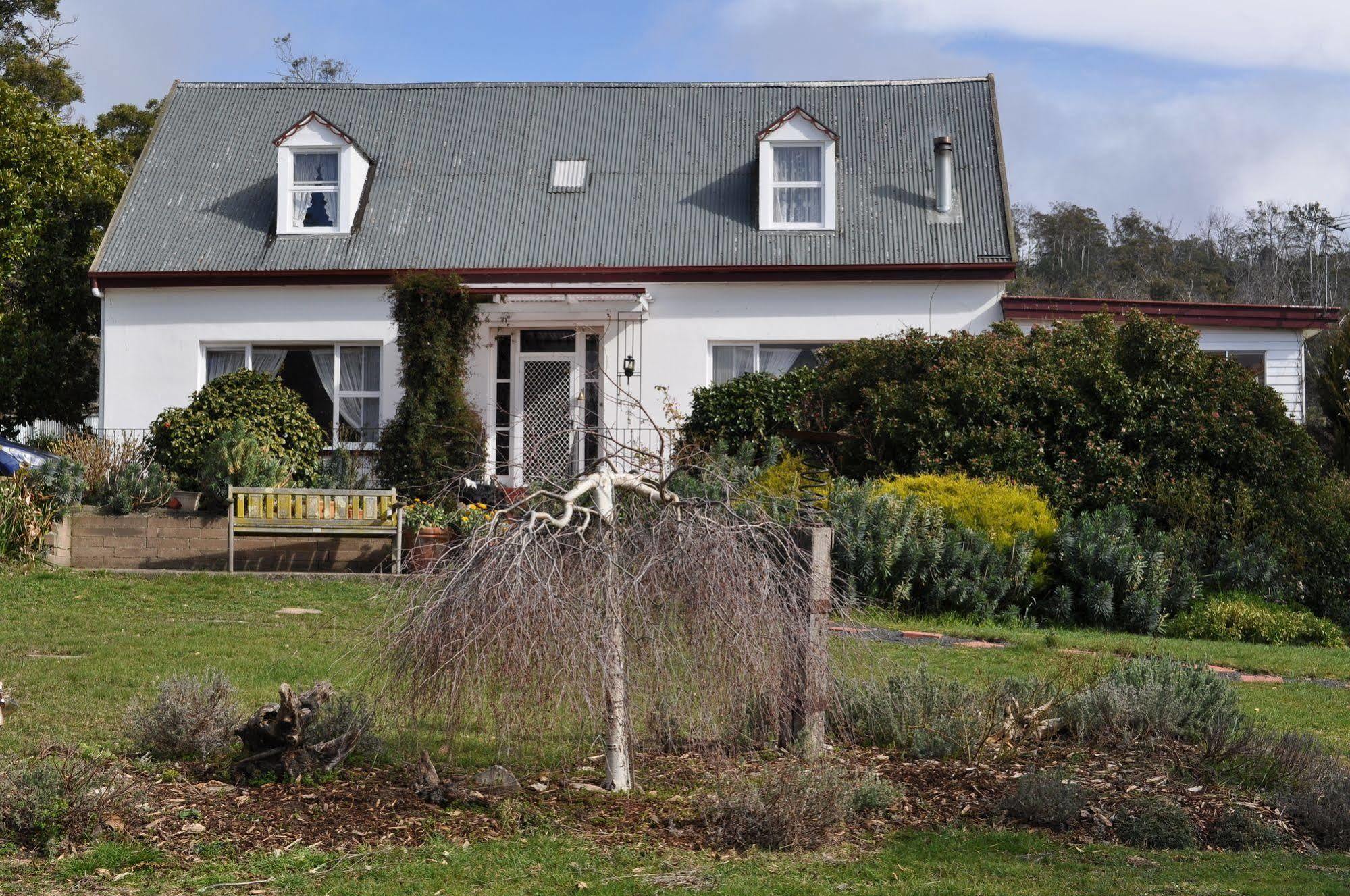 Roslyn House Bed & Breakfast Bushy Park Eksteriør billede