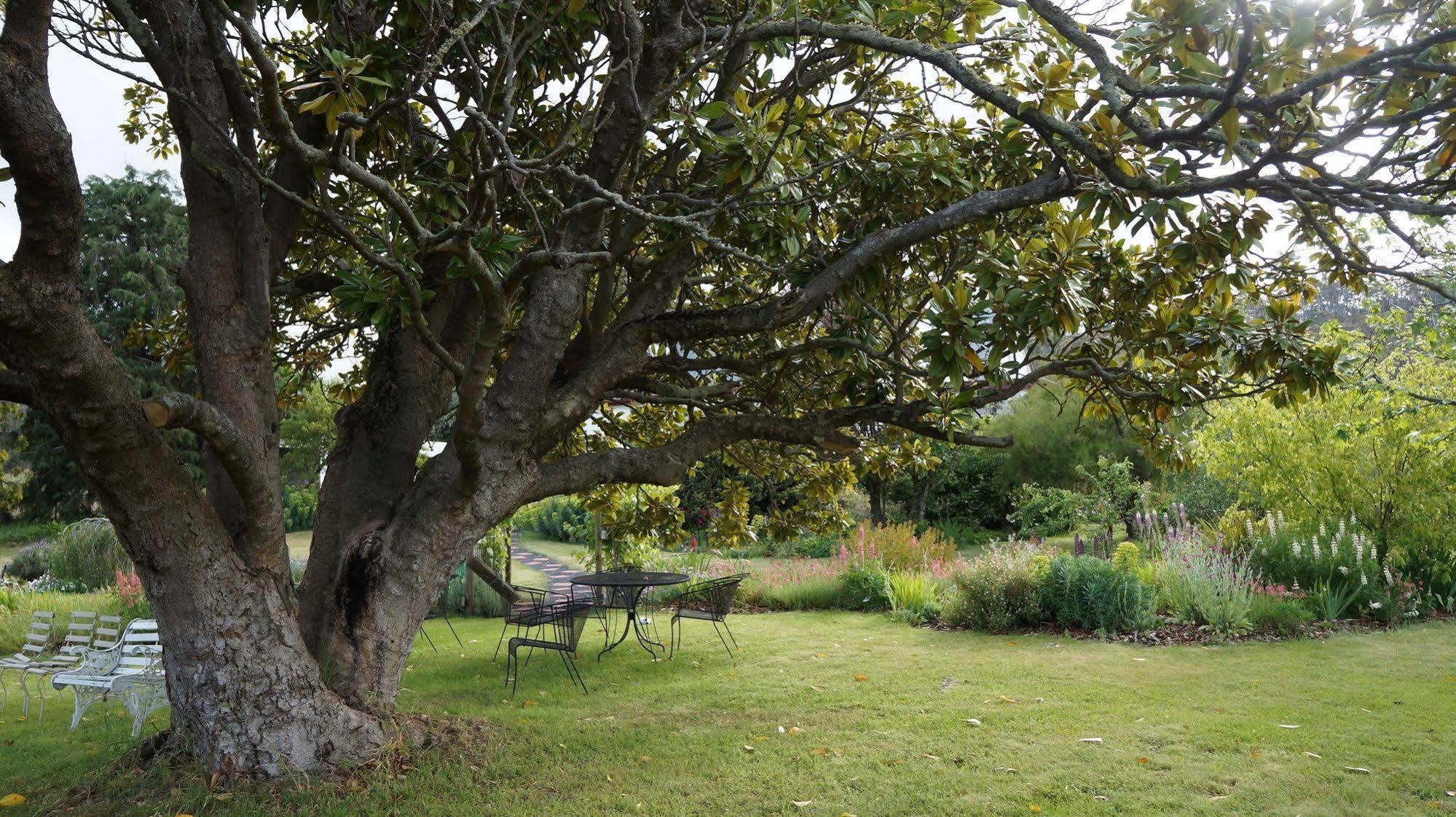 Roslyn House Bed & Breakfast Bushy Park Eksteriør billede