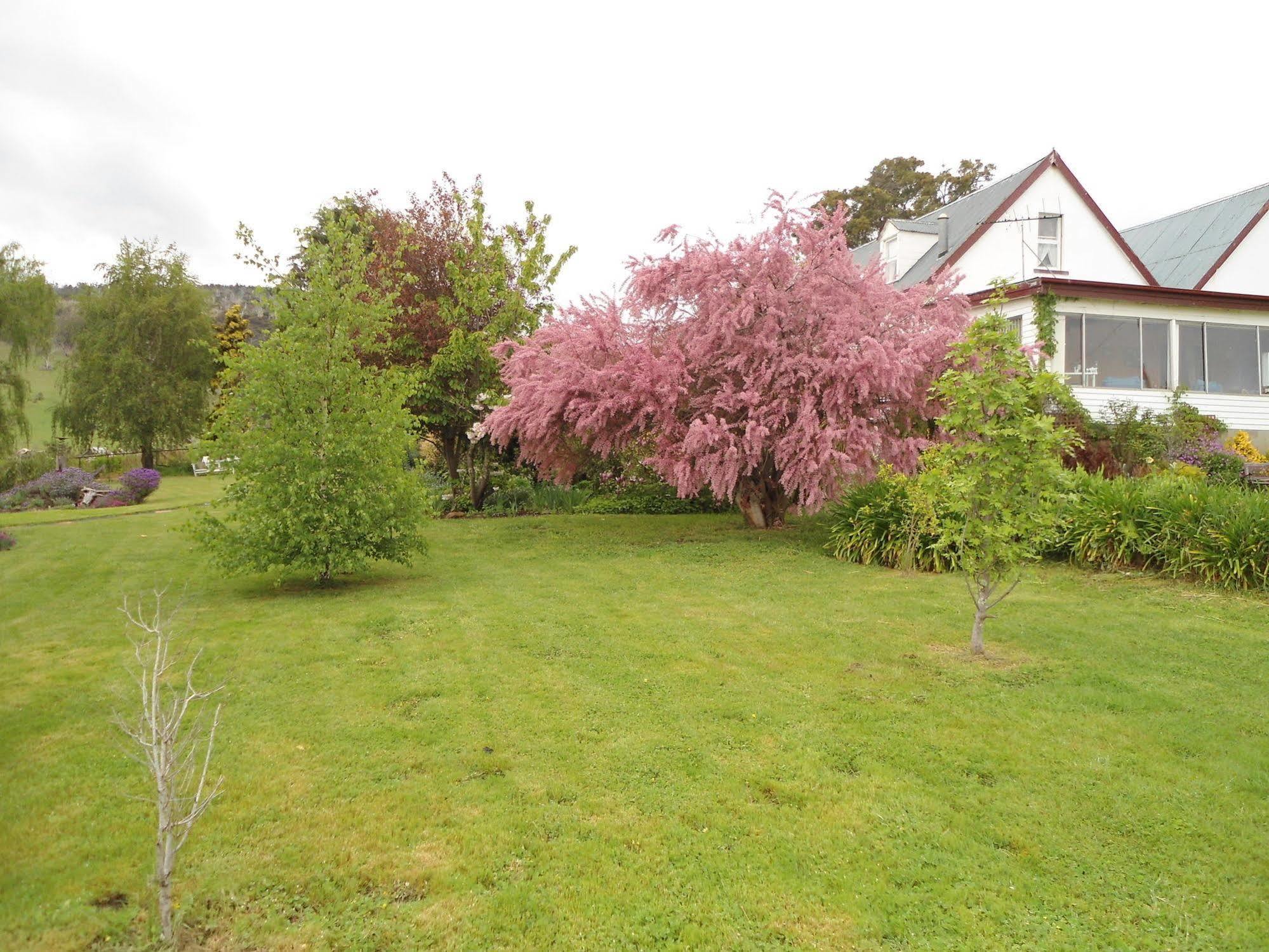 Roslyn House Bed & Breakfast Bushy Park Eksteriør billede