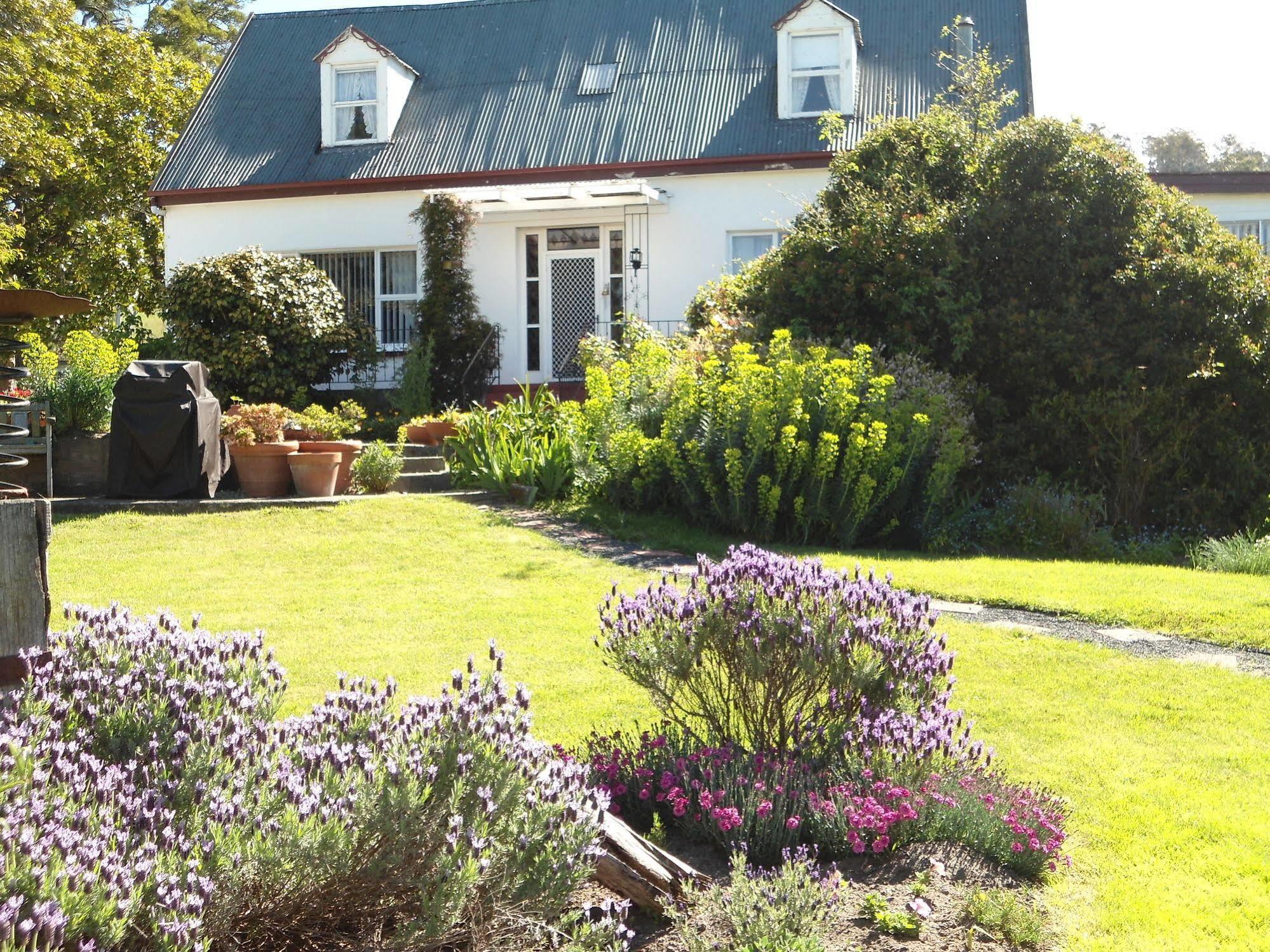 Roslyn House Bed & Breakfast Bushy Park Eksteriør billede